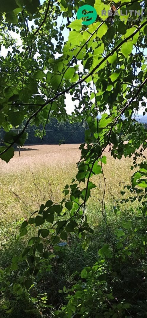 Slunná louka v obci Komorní Lhotka, okr. Frýdek-Místek