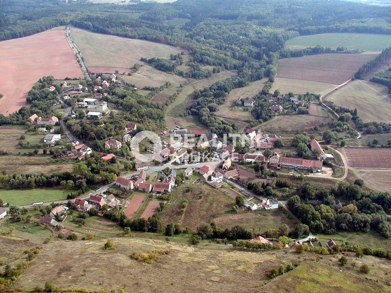 Prodej, Pozemky - trvalý travní porost, 10454m2 - Nečemice