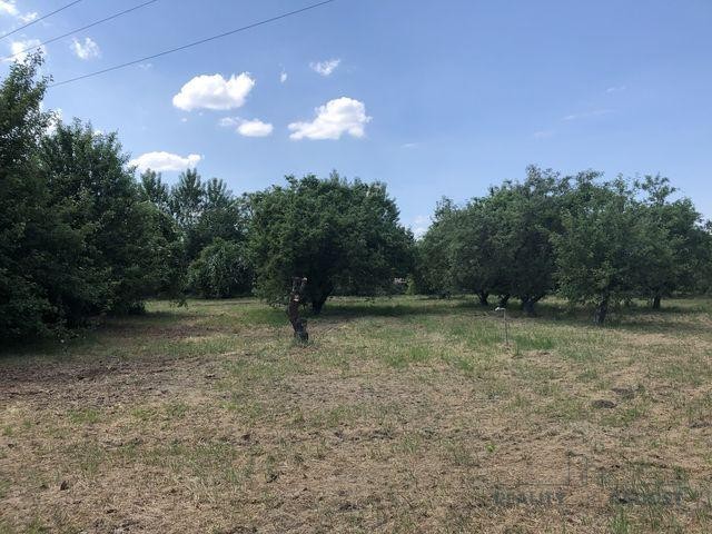 Prodej zahrady, oblast Rybáře, Hodonín, zahrada v obci Hodonín