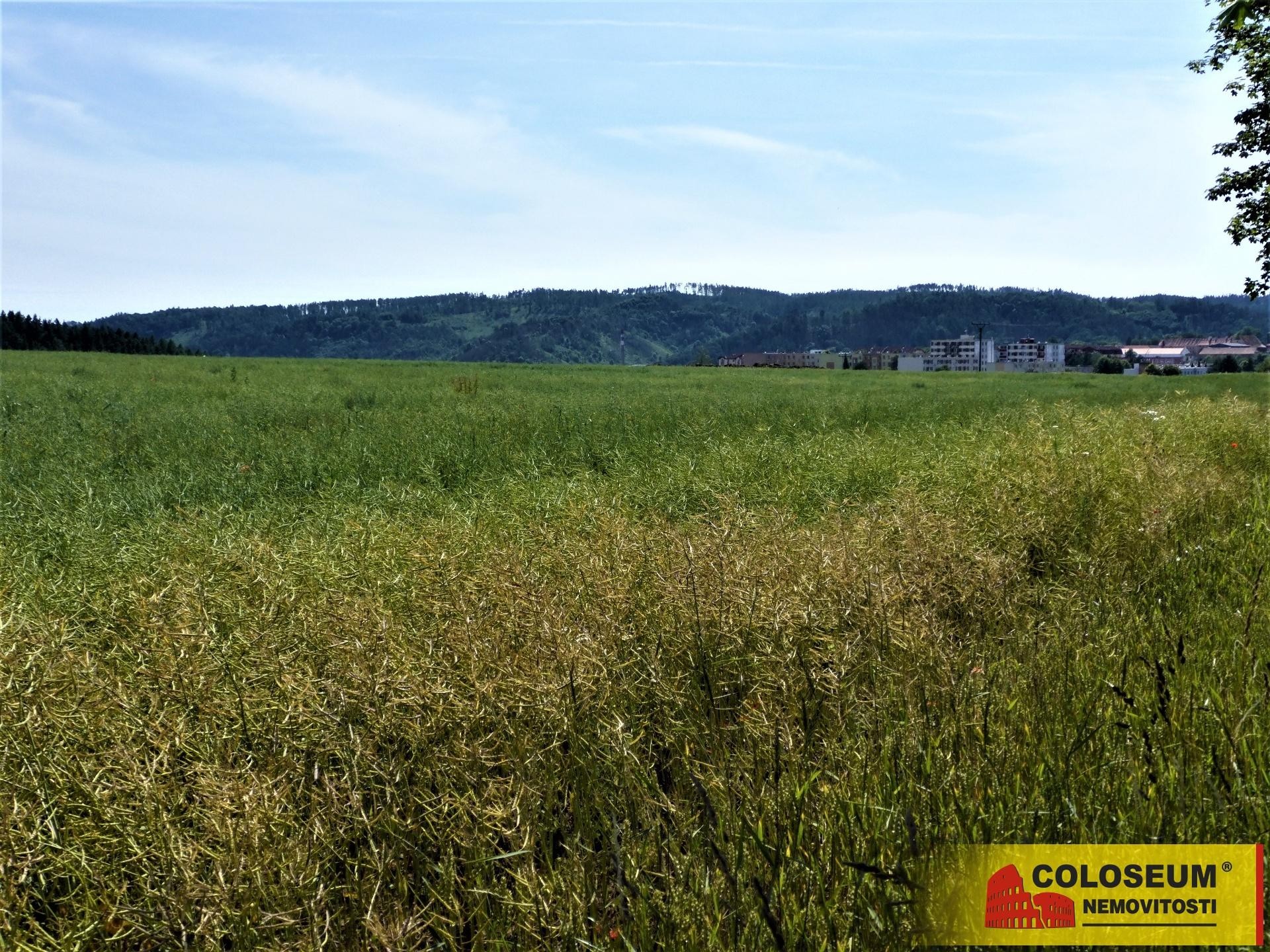 Letovice - zemědělská půda  7 225 m2 - pozemek