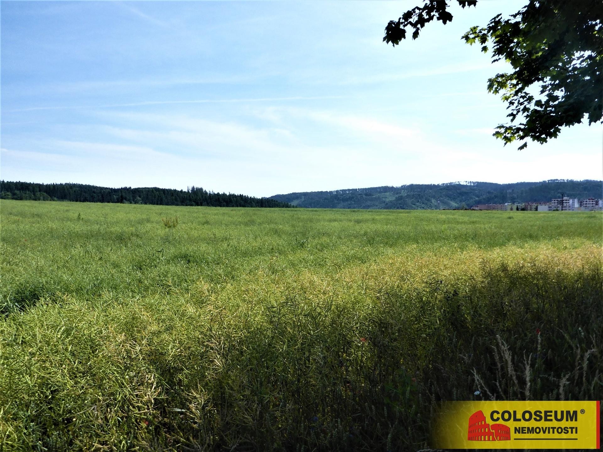 Letovice - zemědělská půda  7 225 m2 - pozemek