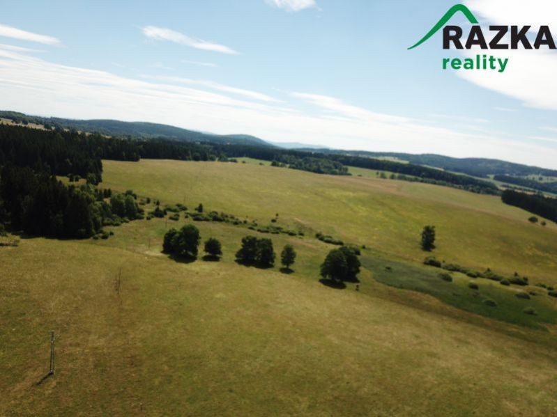 Prodej 226 ha zemědělské půdy v příhraničí, okr. Tachov