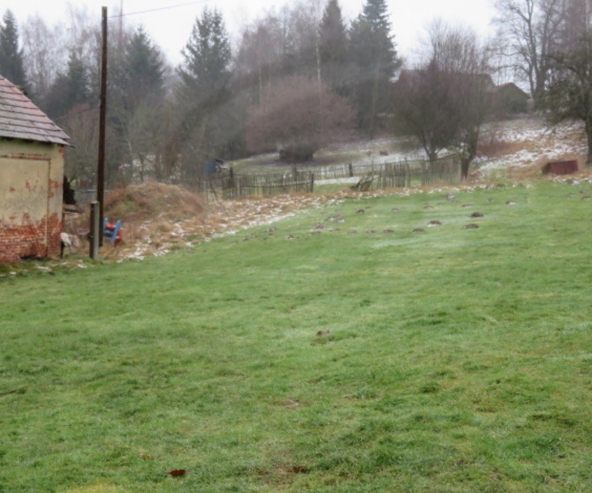 RD s pozemky, podíl 1/2, Lipová-Palič