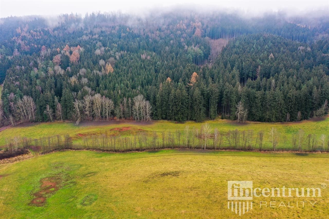 Prodej louky 3931 m2, Čistá u Horek