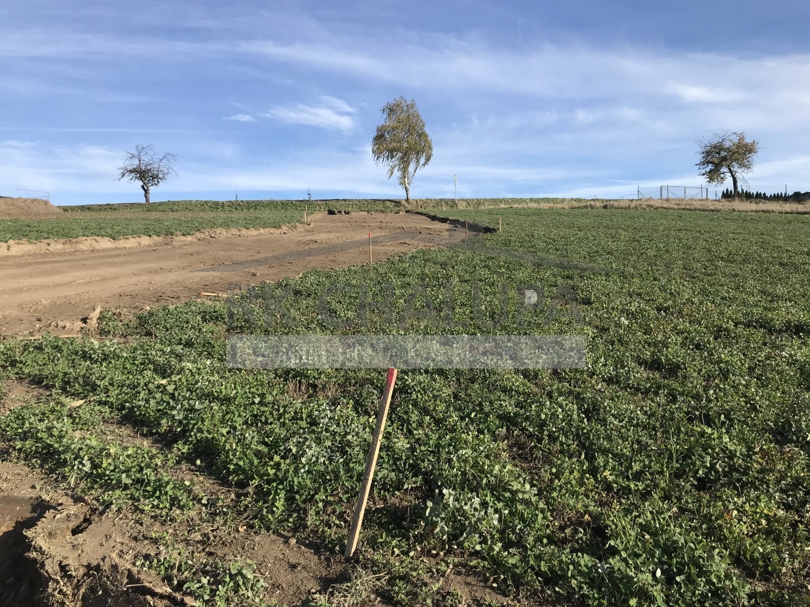 Prodej stavebního pozemku, výměra 1147 m2, Hosín u Českých Budějovic