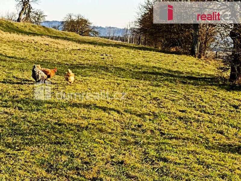 Prodej zemědělského pozemku 4837 m2 , Lačnov 