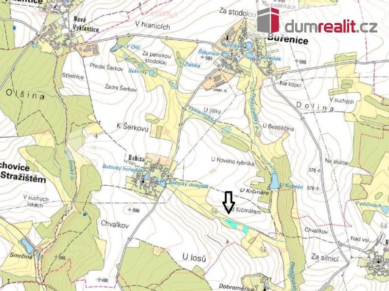 Prodej energetické plantáže rychlerostoucích dřevin 7 652 m2, Buřenice