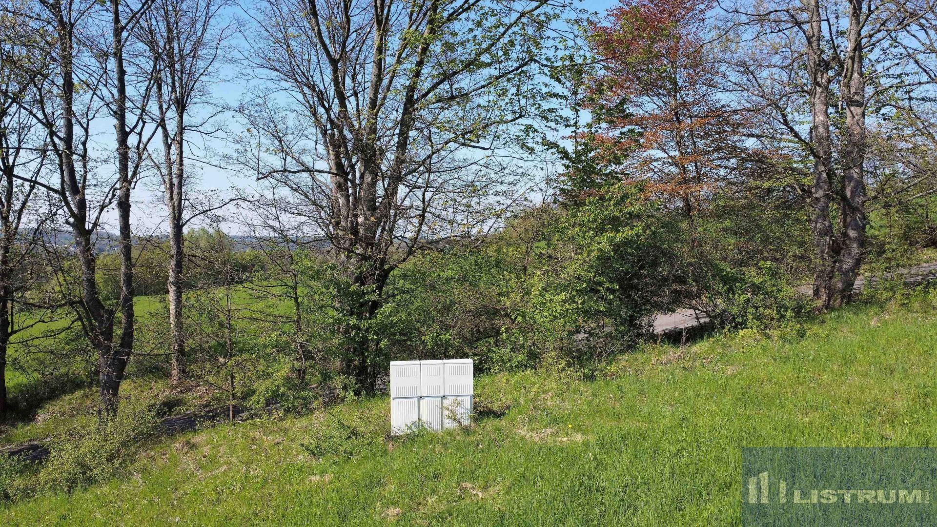 Stavební pozemek 3.998 m2 na ul. Topolová, Těrlicko