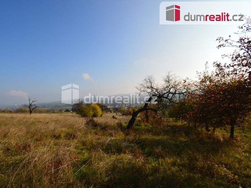 prodej pozemku 8667 m2, Čížkovice