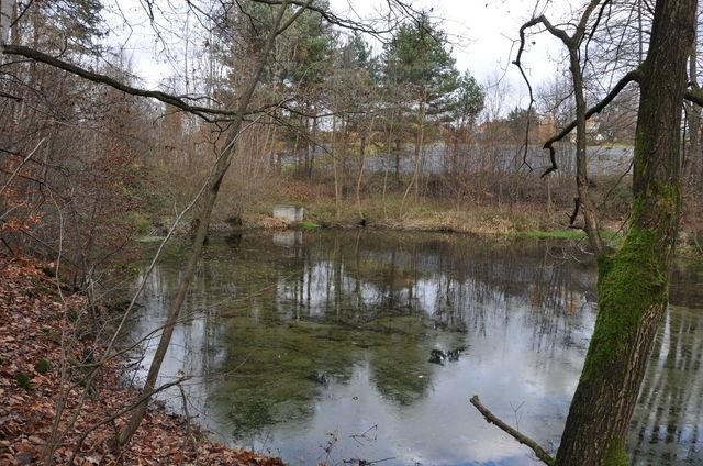 Prodej rybníka 1825m2 Petřvald u Karviné, prodám rybník 1825m2 Petřvald u Karviné