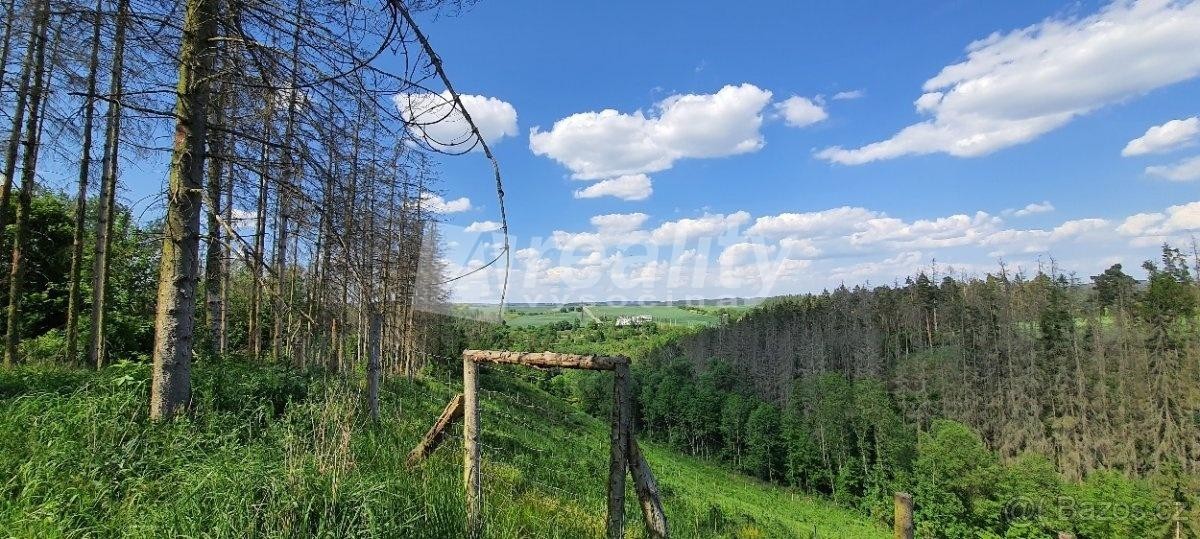 Prodej lesních pozemků - Kožichovice, okres Třebíč