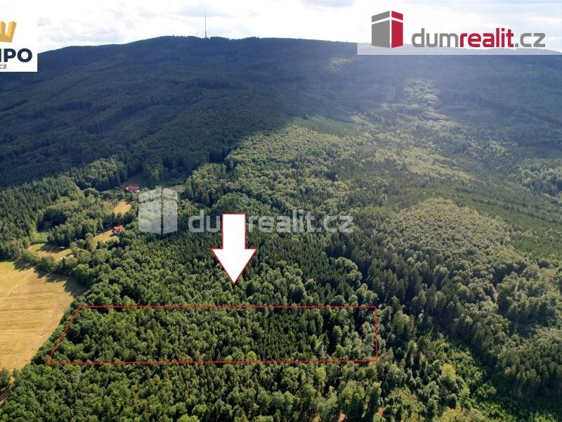 K prodej, les o výměře 11.426 m2, Křemže