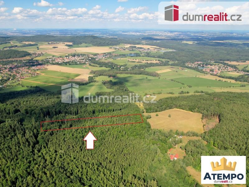 K prodej, les o výměře 11.426 m2, Křemže