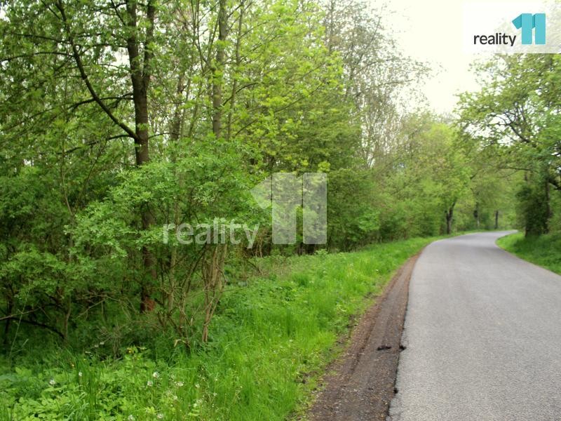 Prodej pozemku, 10293m2, Dolní Habartice, okres Děčín