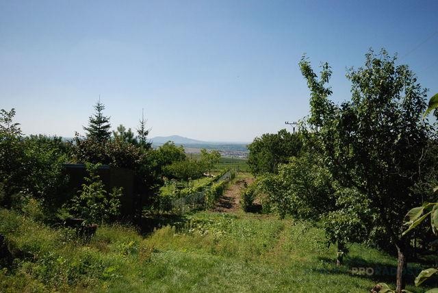 Prodej jedinečného stavebního pozemku, Vrbice