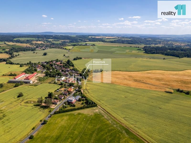 Prodej stavebního pozemku s množstvím vzrostlých stromů. 