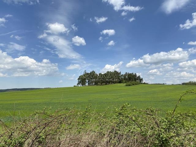 Prodej pozemku  les, 5.038m2, Přešťovice, Strakonice