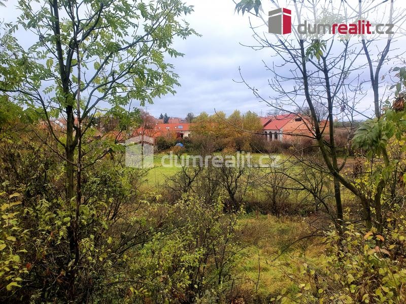 Prodej pozemku 4 066 m, Popovice u Brandýsa nad Labem