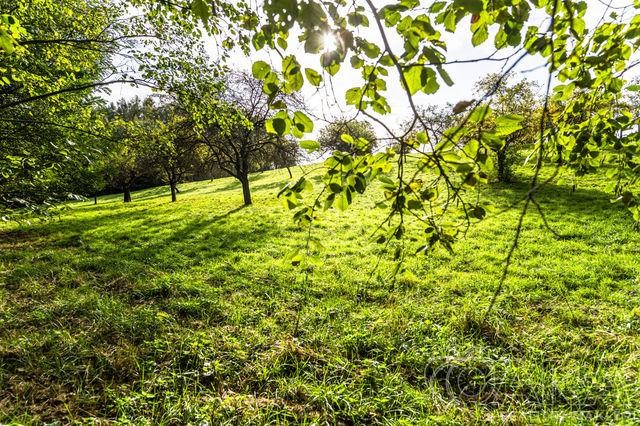 Prodej souboru pozemků 10.089 m2, Kněžmost - Drhleny, dva pozemky s možností stavby.