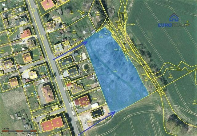 Prodej, stavební pozemek, 5800 m2, Planá u M. Lázní