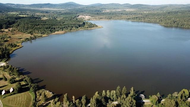 Prodej Stavebního pozemku Olšina