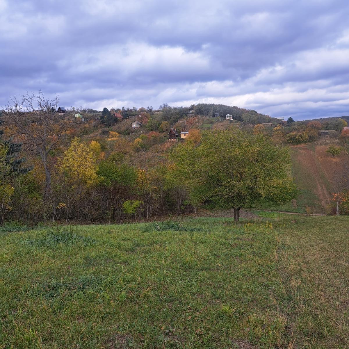 Nabízíme k prodeji zahradu v Sivicích u Brna