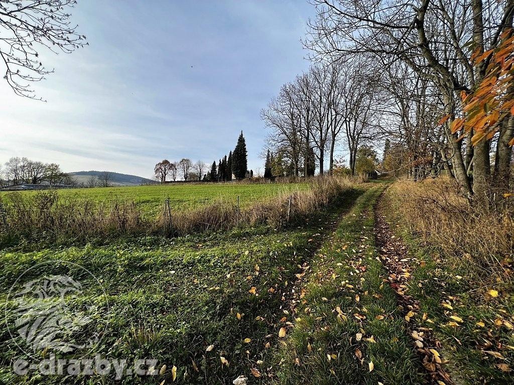 Pozemek 93 243 m2, podíl ¼, Rádlo, Jablonec nad Nisou