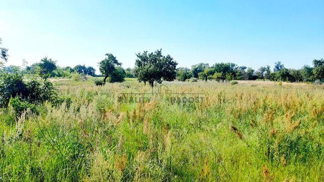 Prodej stavebního pozemku 2355 m2 v obci Lužice, lokalita Záhumenice