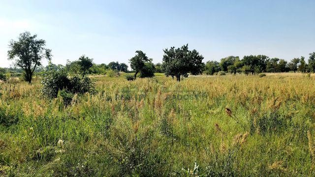 Prodej stavebního pozemku 2355 m2 v obci Lužice, lokalita Záhumenice