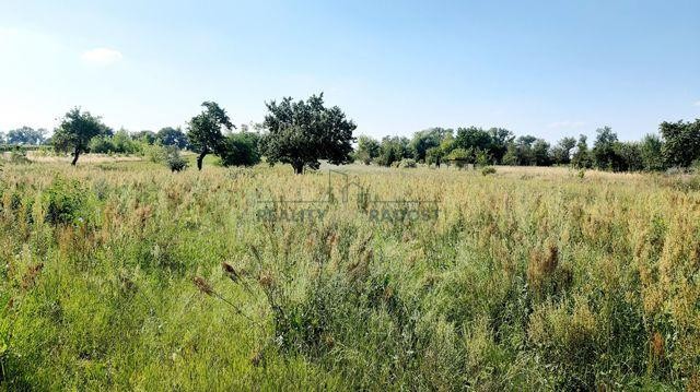 Prodej stavebního pozemku 2575 m2 v obci Lužice, lokalita Záhumenice