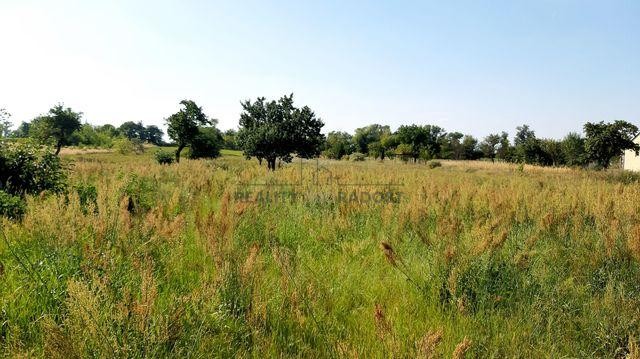 Prodej stavebního pozemku 1227 m2 v obci Lužice, lokalita Záhumenice