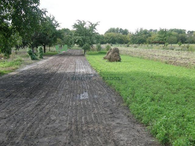 Prodej stavebního pozemku 1227 m2 v obci Lužice, lokalita Záhumenice