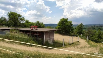 Prodej pozemku v zahrádkářské kolonii Bosonohy-Křiby