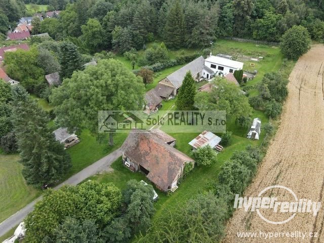 Prodej  zemědělské usedlosti 2xRD + stodola, poz. 3989 m2 - Lipí