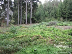 Prodej lesních pozemků k.ú. Tříklasovice a k.ú. Psárov (okres Tábor)