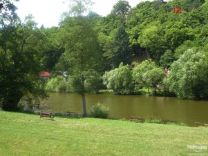 Nabízíme pozemek u řeky Sázavy, výměra 9.312 m2, Sedliště, Sázava, okr. Benešov 